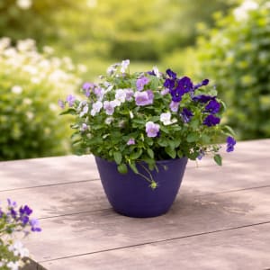 Pansy Flowering Basket Flower Bouquet