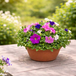 Pansy Flowering Basket Flower Bouquet