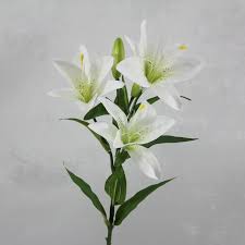 Lily Asiatic Flower Bouquet