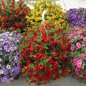 Home & Garden Gift Set