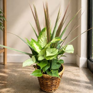 Small Plant 4" Flower Bouquet