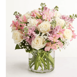 Elegant Blush