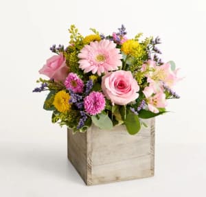 Spring Sentiment