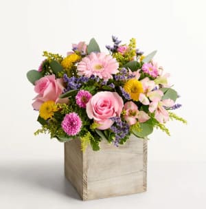 Spring Sentiment