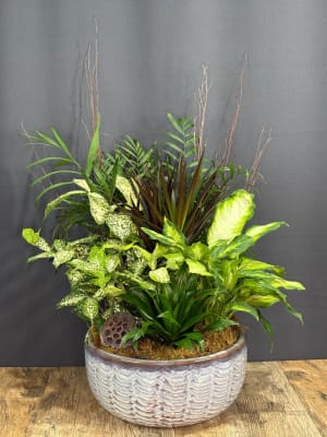 Ceramic Dish Garden