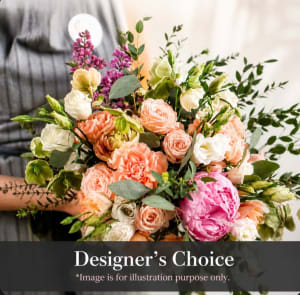 Designer's Choice