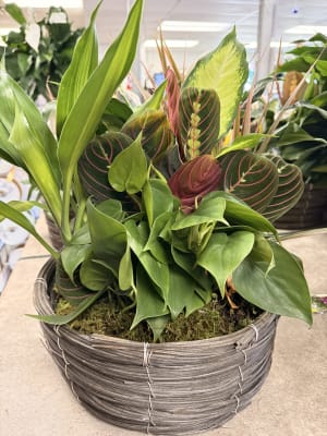 Indoor Garden Planter