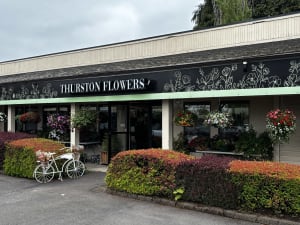 Hanging Flower Baskets