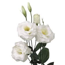 Lisianthus Flower Bouquet