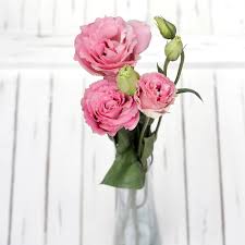 Lisianthus Flower Bouquet