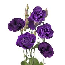 Lisianthus Flower Bouquet