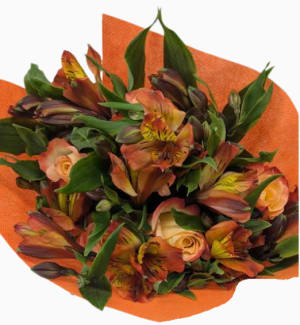 (CHOOSE COLOR) Roses & Alstro Wrapped Bouquet CB-RA Flower Bouquet