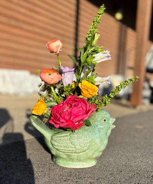 The Birdy Arrangement