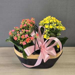 Kalanchoe Flower Bouquet