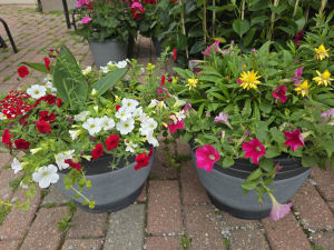 Combo Planter 15" Flower Bouquet