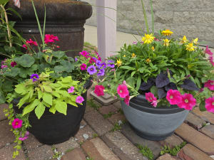 Combo Planter 15" Flower Bouquet