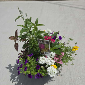 Butterfly Planter