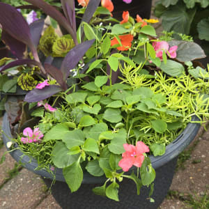 Petal Planters Flower Bouquet