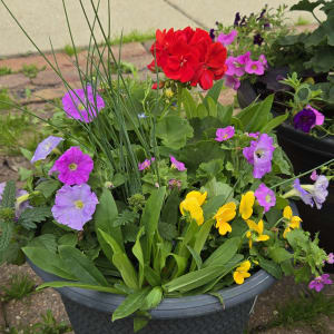 Petal Planters Flower Bouquet