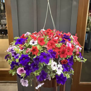 Hanging Flowering Basket (XL)