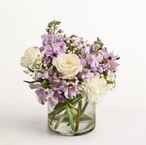 Lovely Lavender