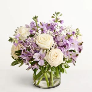Lovely Lavender