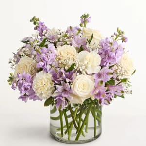 Lovely Lavender