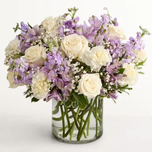 Lovely Lavender