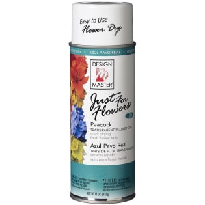 Paint