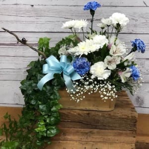 Vining Plant and Fresh Arrangement Combo Basket