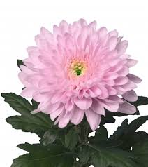 Cremons Flower Bouquet