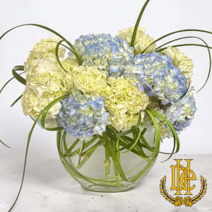 Hydrangea Harmony Flower Bouquet