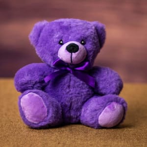 6" Colorama Bears