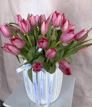 Simply Tulips