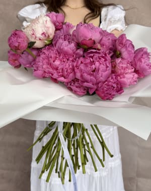 Pink Dream