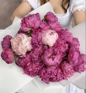 Pink Dream