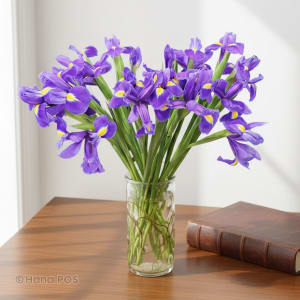 Blue Irises Arrangement Flower Bouquet