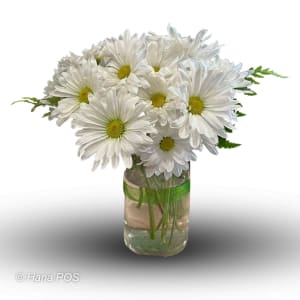 Daisy's Hello Flower Bouquet