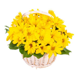 Yellow Daisies Basket Flower Bouquet
