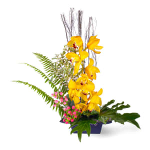 Zen Cymbidium Orchid Arrangement Flower Bouquet