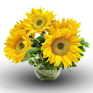 Sunshine Bowl Flower Bouquet