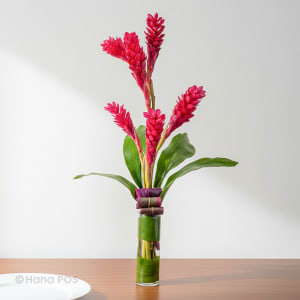 Tropical Ginger Bouquet Flower Bouquet