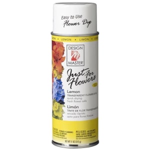 Paint