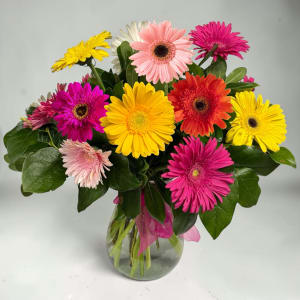 Gerbera Daisy Arrangement Flower Bouquet