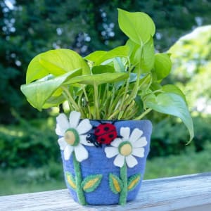 Daisy Lady Bug Felt Pot Flower Bouquet