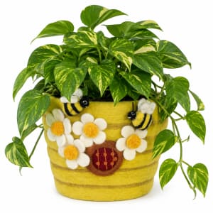 Honey House Felt Pot 5' Flower Bouquet