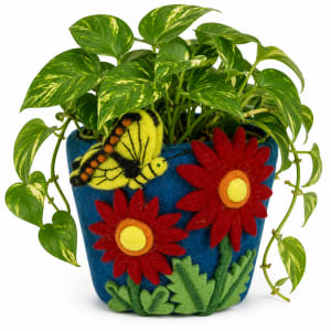 Cosmo Fet pot 5" Flower Bouquet