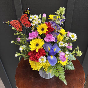 Butterfly Garden