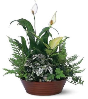 White Garden Flower Bouquet