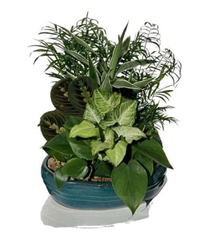 Dish Garden Flower Bouquet